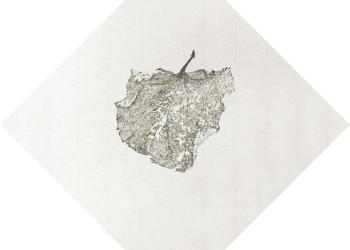 Mémoire des feuilles (Céramiques) N°2