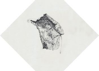 Mémoire des feuilles (Céramiques) N°5