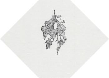 Mémoire des feuilles (Céramiques) N°13