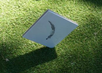 Mémoire des feuilles (Céramique)