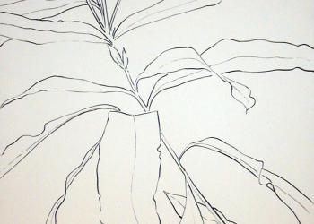 ESPRIT DE JARDIN