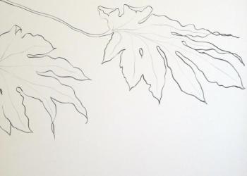 ESPRIT DE JARDIN