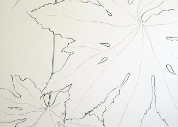 ESPRIT DE JARDIN