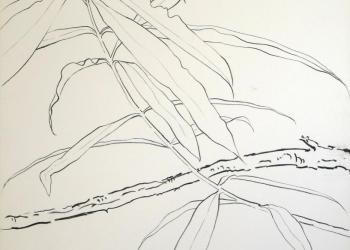ESPRIT DE JARDIN