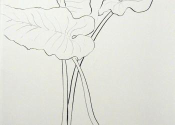 ESPRIT DE JARDIN