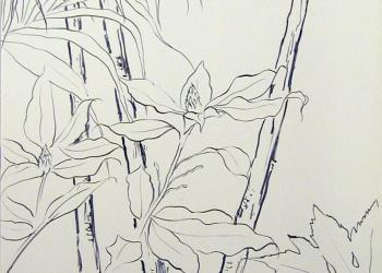 ESPRIT DE JARDIN