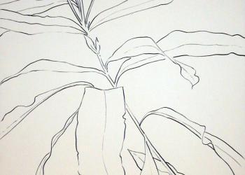 Esprit de Jardin (1993-1995)