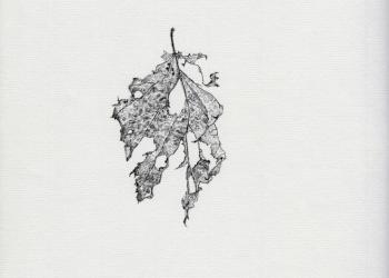 MÉMOIRE DES FEUILLES