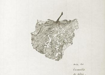MÉMOIRE DES FEUILLES