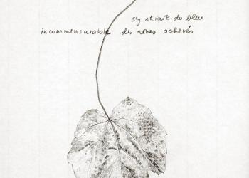 MÉMOIRE DES FEUILLES