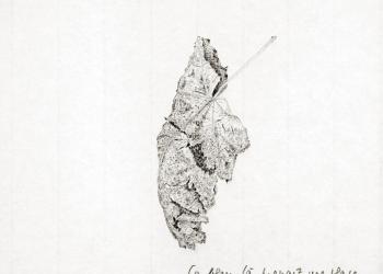 MÉMOIRE DES FEUILLES