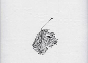 Mémoire des feuilles (1994-1995 / 1998)