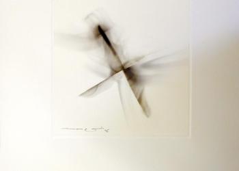 TRACES DE LUMIERE - I