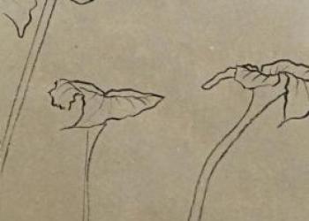 MERVEILLE ÉMERVEILLANTE N°10
